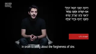 Isaiah 53 discussed in Hebrew with English Subtitles...