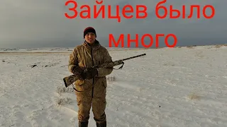 Охота на зайца."Насыщенный день" часть I.