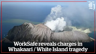 WorkSafe reveals charges in Whakaari/White Island tragedy | nzherald.co.nz