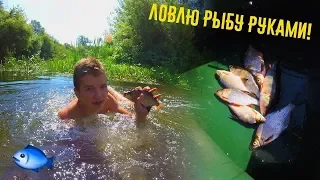 Ловлю рыбу руками в болоте! Рыбалка с лодки в камышах.