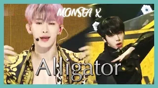 [HOT] MONSTA X - Alligator, 몬스타엑스 - Alligator  Show Music core 20190309