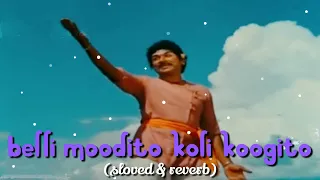 Belli Moodithu Koli Koogithu | Kannada | Dr Rajkumar | [Slowed+Reverb] | Lofi |
