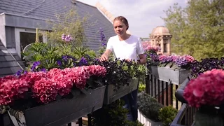 Isabelle Palmer, The Balcony Gardener on planting in small spaces