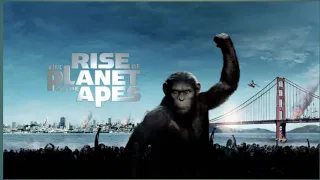 Rise + Dawn of the pnanet  of the Apes 1+2 (2014) Film Explained In Hindi /Urdu/English