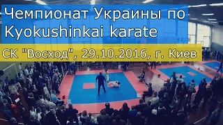 Соревнования по киокушинкай карате (WKO ShinKyokushinkai). СК «Восход», 29.10.2016, г. Киев