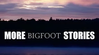 'More Bigfoot Stories' | Paranormal Stories