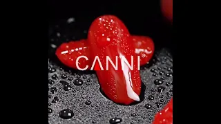 CANNI Long Wear Top Coat