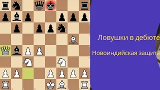 Ловушки в дебюте - новоиндийская защита. Быстрый выигрыш фигуры за белых