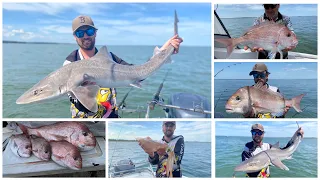 Westernport's BIG DAY OUT!! Incredible day Snapper fishing!!