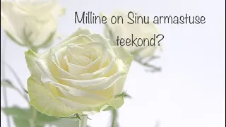 Milline on Sinu armastuse teekond?🤍🕊️🤍Ajatu vali-kaart-stiilis 💕