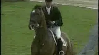 Loro Piana Tomboy: most powerful showjumper ever!