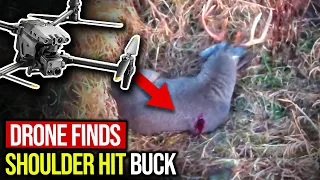 Thermal Drone Found Shoulder Hit Buck