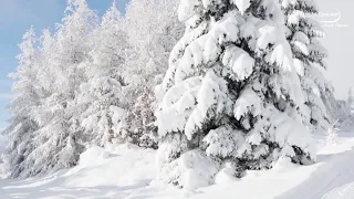 «НАСТОЯЩАЯ ЗИМА» Потрясающая, очень красивая зимняя музыка Сергея Чекалина! Очень нравится для души!