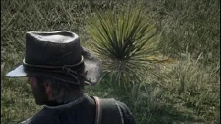 Arthur Morgan photomode scp