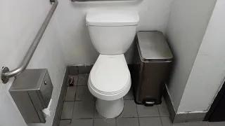 2010 Glacier Bay Toilet