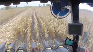 Forschitt E-516B Kukorica aratás 2017/Corn harvesting 2017/Maisernet 2017