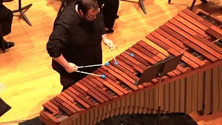 Concerto for Marimba and String Orchestra by Eric Ewazen, Tommy Dobbs Highlight Reel
