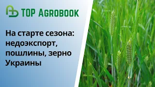 На старте сезона: недоэкпорт, пошлины, зерно Украины. TOP Agrobook: обзор аграрных новостей