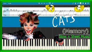 Memory 🧠 Cats Theme Song 😻 [Easy + Slow + Sheet Music] (PIANO TUTORIAL) 🎹 #239