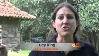 Kenya Elephant Protection