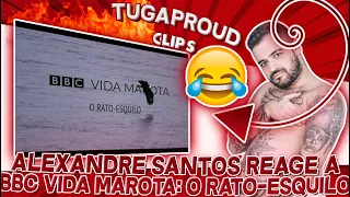 ALEXANDRE SANTOS REAGE A BBC Vida Marota - O Rato Esquilo