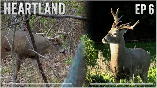 Early October Cold Front Action, Hunting A Giant Flyer Buck In Iowa #deerhunting #hunting