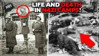 This is what it was like to LIVE and DI3 in the most brutal N4zi EXTERMIN4TION camps