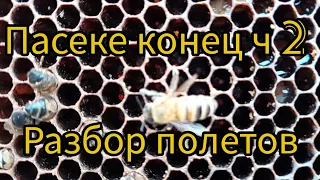 осенний слет пчел 2022 . часть 2, разбор полётов.  куда делись пчелы? страшная легенда о древне.