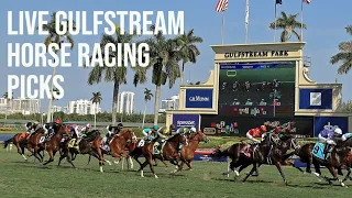 Live Gulfstream Park Horse Racing Picks