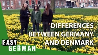 Differences between Germany and Denmark | Easy German 190