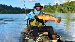 Kayak fishing for peacock bass - Suriname