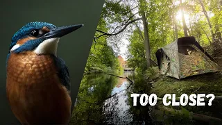 How I Took This Photo - BEHIND THE SCENES of Photographing Kingfishers