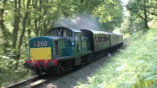 D8568 accelerating off the crossing at Northwood Halt   19 05 2024