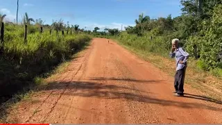 SÍTIO MUITO BARATO 14 ALQUEIRAO 68 HECTARES AQUI PARA COM IGARAPÉ R$ 350.000