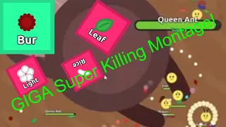 Florr.io First LOOOOOONG Super killing!