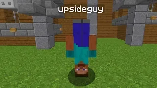 a cursed minecraft player