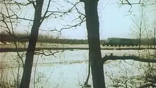 Тропой бескорыстной любви (фильм) (1971)