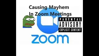 CAUSING MAYHEM IN ZOOM MEETINGS!! GONE WRONG