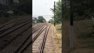 😓Cow Hit by train