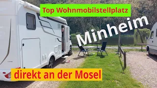 Reisemobilpark Minheim , Mosel Camping , Piesport , Neumagen-Dhron  , tolle Plätze an der Mosel