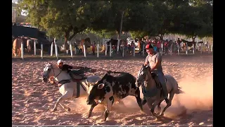 Bolão de vaquejada em Agrovila 23/Carinhanha /BA 04/02/2023 cat mobral no Parque  Andalécio Moreira