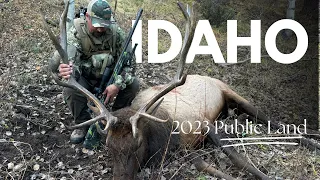 2023 Idaho Rifle Elk Hunt