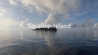 Sipadan Island, Dec 2023