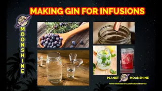 Easy Gin Recipe