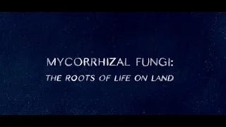 Mycorrhizal Fungi: The Roots of Life on Land