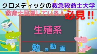 【救命士国家試験対策】YouTube超時短学習!!「生殖系」