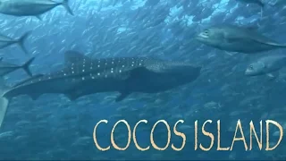 Discover Cocos Island HD
