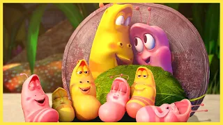 Larva Tuba - GIA ĐÌNH LÀ SỐ 1 - ẤU TRÙNG TINH NGHỊCH - PHIM HOẠT HÌNH LARVA MỚI NHẤT 2021