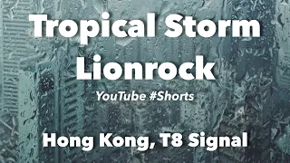 Tropical Storm Lionrock, 08.-09. October 2021, Hong Kong (Typhoon Signal T8) #HongKong #Shorts