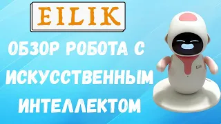 Чем может удивить искусственный интеллект? Обзор робота Eilik